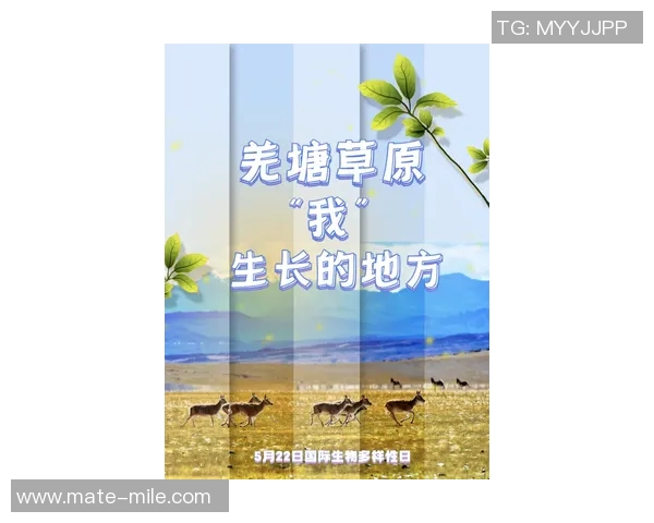 萨林杰的文学世界：探索孤独与叛逆的心灵旅程