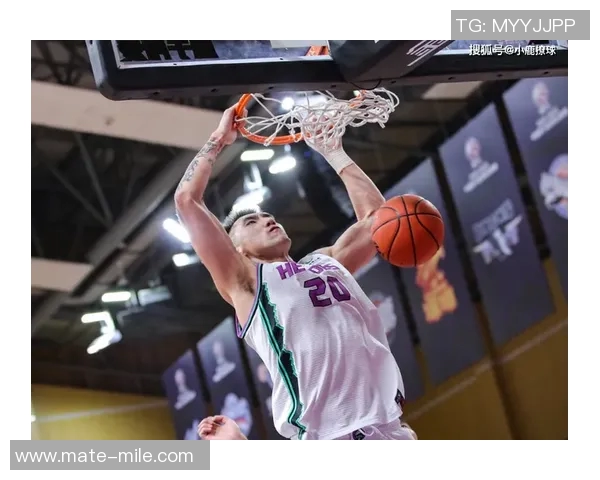陶汉林：从篮球场上的拼搏到人生舞台的辉煌旅程